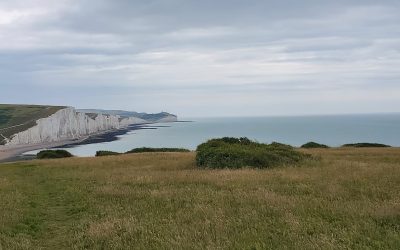 Striders learn more about safety and welfare along our coastline